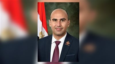 نائب يكشف طبيعة الهيئة البرلمانية لتنسيقية شباب الأحزاب وفقا للاستراتيجية الجديدة 