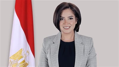 أميرة العادلي: التنسيقية توسعت فى إطلاق المنصات الإلكترونية للتواصل مع كل الفئات 