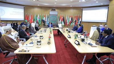 رئيس التنظيم والإدارة يجدد دعم مصر للمنظمة العربية للتنمية الإدارية