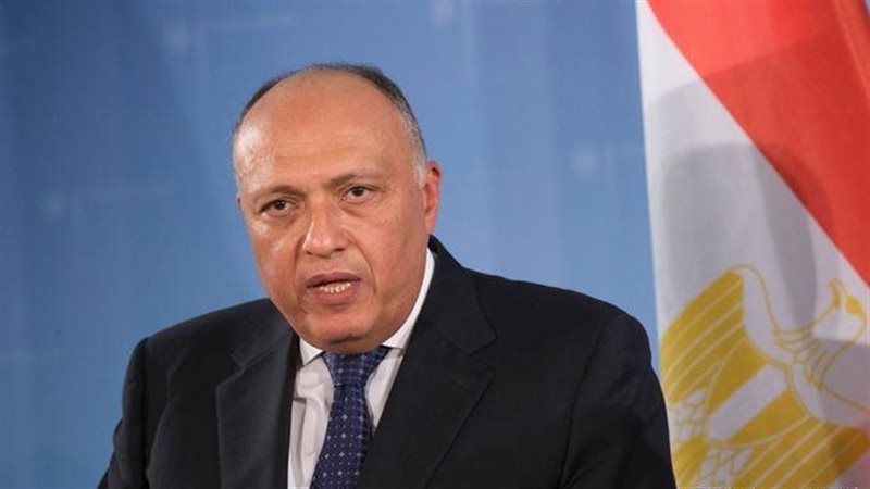 سامح شكري وزير الخارجية