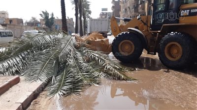 محافظ أسوان يشيد بجهود المجتمع المدني في مساعدة متضرري السيولl صور