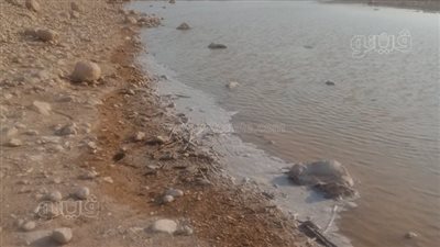 سوهاج ترفع درجة الاستعداد القصوى تحسبا لوقوع سيول في 8 مخرات| صور