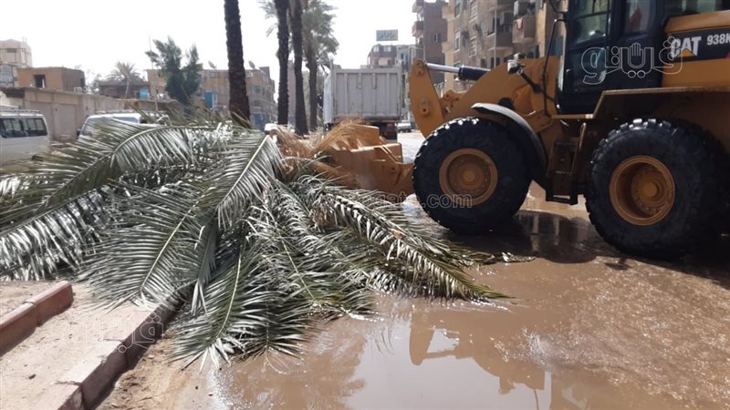 سيول أسوان