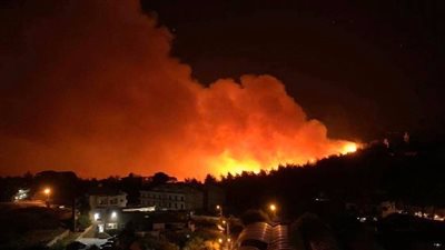 الحرائق تلتهم مئات المنازل بولاية كولورادو الأمريكية | فيديو