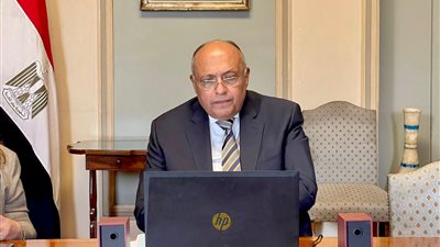 جهود وإنجازات الخارجية والدبلوماسية المصرية خلال 2021