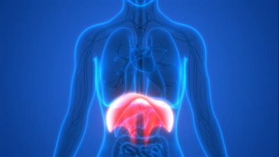  ما هو فتق الحجاب الحاجز؟ وأعراض خطيرة تتطلب زيارة الطبيب فورا