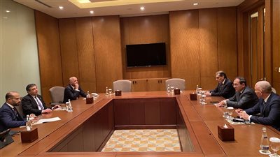 الملا يبحث مع مدير وكالة الطاقة الدولية ورؤساء شركات التعاون لإنجاح قمة المناخ بشرم الشيخ