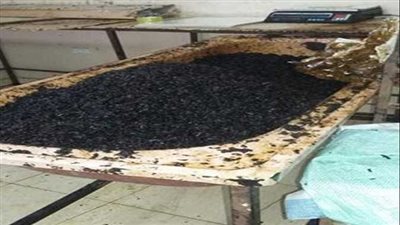 النيابة تباشر التحقيق في ضبط أكثر من 30 طن 