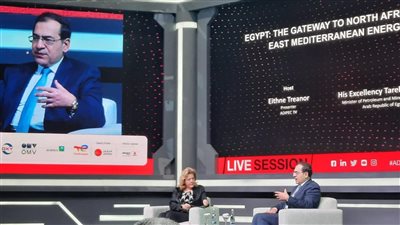 الملا: الاستقرار السياسي والإصلاح الاقتصادي سبب تحويل تحديات قطاع الطاقة لنجاحات