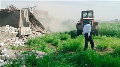 إزالة 23 تعد على نهر النيل بالصف والعياط|صور