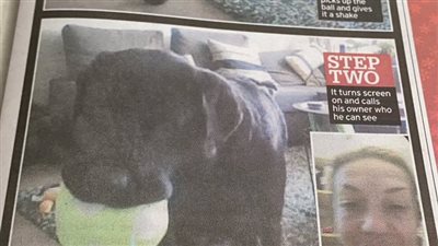 ابتكار هاتف للكلاب لتخفيف معاناة وحدتها