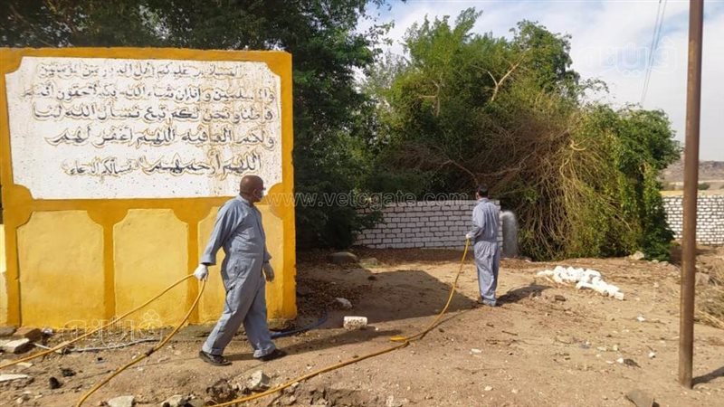 مكافحة الحشرات الضارة
