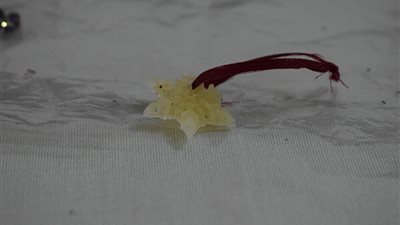 أم لبنانية تحول حليب الأمهات إلى قطع مجوهرات وإكسسوارات | صور