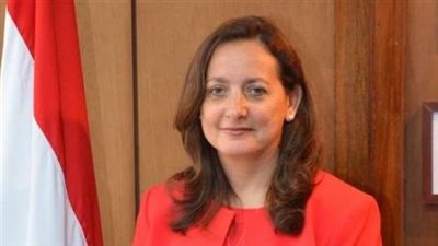 مدير معهد التنمية المستدامة تشارك في حوار 