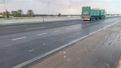 حالة الطقس غدا الجمعة١٩_١١_٢٠٢١ فى الاسكندرية