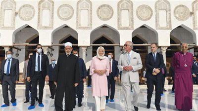 نائب بالشيوخ: زيارة ولي العهد البريطاني لمصر تؤكد الدور المحوري للقيادة السياسية