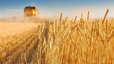 مطالب برلمانية للحكومة لدراسة ملف الهندسة الوراثية 