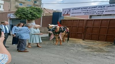  تفاصيل زيارة قرينة ولي عهد بريطانيا لمستشفى بروك لعلاج الحيوان في السيدة زينب
