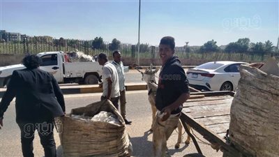 شن حملات على مخازن النباشين في أسوان | صور