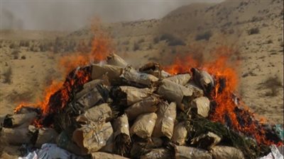 9 صور ترصد إبادة حدائق الشيطان فى الإسماعيلية 