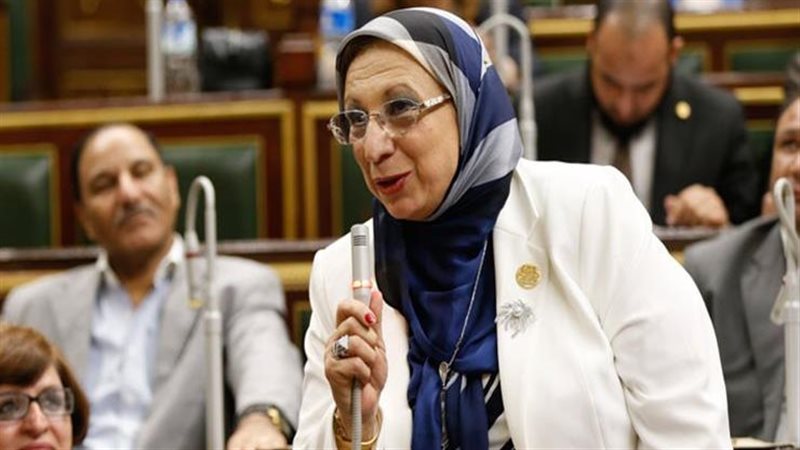  النائبة إيناس عبد