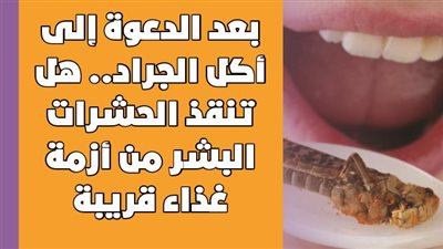 بعد الدعوة إلى أكل الجراد.. هل تنقذ الحشرات البشر من أزمة غذاء قريبة| فيديوجراف