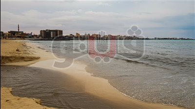 تغير لون مياه البحر بمطروح بسبب ترسبات الأمطار | فيديو وصور 