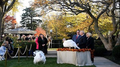 بعد خروجه من المستشفى.. بايدن يعفو عن ديكين روميين خاصين بعيد الشكر