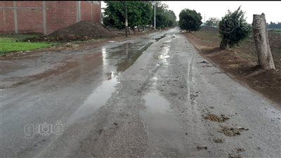 الرعد والبرق والأمطار تضرب الغربية| فيديو