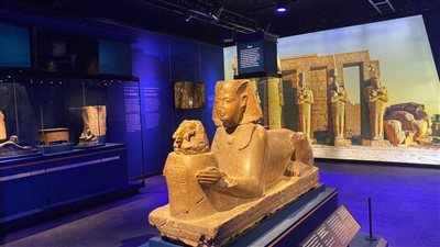 متوقع 700 ألف زائر.. معرض ذهب الفراعنة يستقبل اليوم الزائرين بمتحف هيوستن