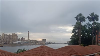 برق ورعد.. أمطار متوسطة بمحافظة الدقهلية| فيديو