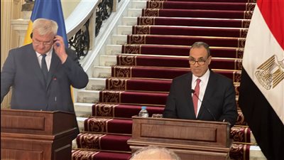  وزير الخارجية: لن تنعم إسرائيل بالاستقرار ما لم يتم وقف العدوان على غزة