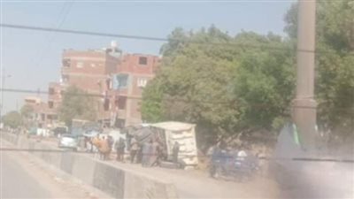 مصرع شخص وإصابة آخر في حادث انقلاب تريلا في الجيزة (صور)