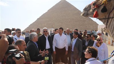 شريف فتحي وعلاء فاروق يطلقان البرنامج الوطني لرعاية الخيول والإبل والحيوانات الأليفة 