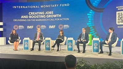 وزير الاستثمار: نهدف لزيادة مساهمة القطاع الخاص بالاقتصاد القومي إلى 75% في2030