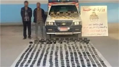 حبس عنصرين إجراميين بتهمة حيازة كميات من المخدرات فى الإسكندرية
