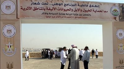 الجيزة تشارك في إطلاق برنامج وطني لحماية الحيوانات الأليفة بالمناطق الأثرية (صور)