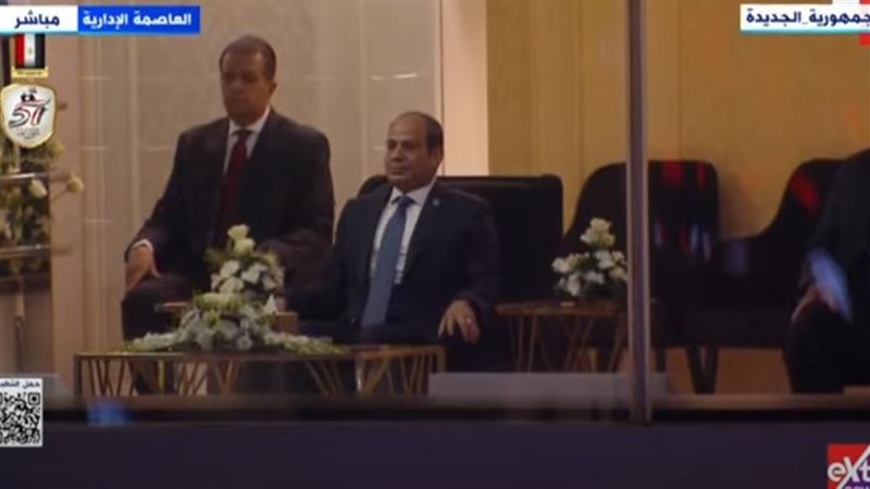 الرئيس السيسي، فيتو