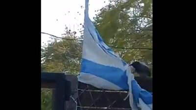 عودة الغراب لتمزيق علم إسرائيل يثير الدهشة، والنشطاء: جاء بالبشرى ليؤكد نهاية الكيان (فيديو)