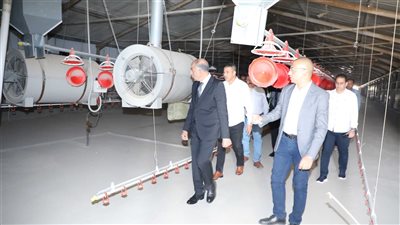 محافظ المنيا يتفقد مشروعات تسمين الدواجن (صور)