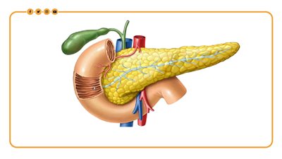 5 حالات تؤدي إلى التهاب البنكرياس (إنفوجراف)