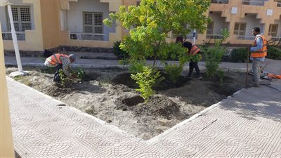 محافظ الإسماعيلية يتابع أعمال تطوير القرية الأوليمبية (صور)