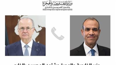 وزير الخارجية ونظيره الفلسطيني يبحثان تطورات العدوان الإسرائيلي على غزة والضفة 