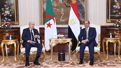  بدء القمة المصرية الجزائرية بالقاهرة