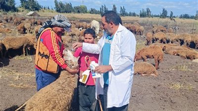 قوافل بيطرية وندوات إرشادية ضمن مبادرة 