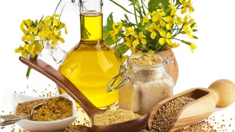زيت الخردل لجمال