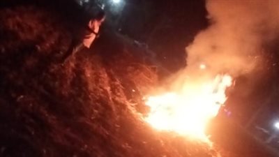 تحرير محاضر بيئية لحرق المخلفات بالأراضى الزراعية بساقلتة في سوهاج