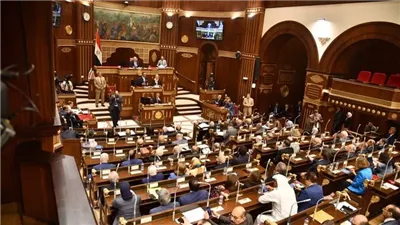 حقوق الإنسان بالشيوخ تناقش اليوم تعديل قانون ذوي الإعاقة