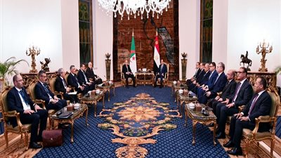 تفاصيل المباحثات المصرية الجزائرية بالقاهرة (فيديو وصور)