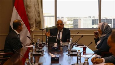 وزير الكهرباء يبحث مع الشركة العربية للهندسة والتوزيع جودة التشغيل وكفاءة الأداء 